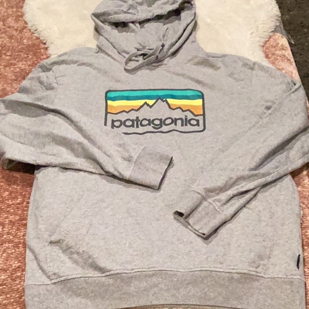 EUC Patagonia Line Logo hoodie